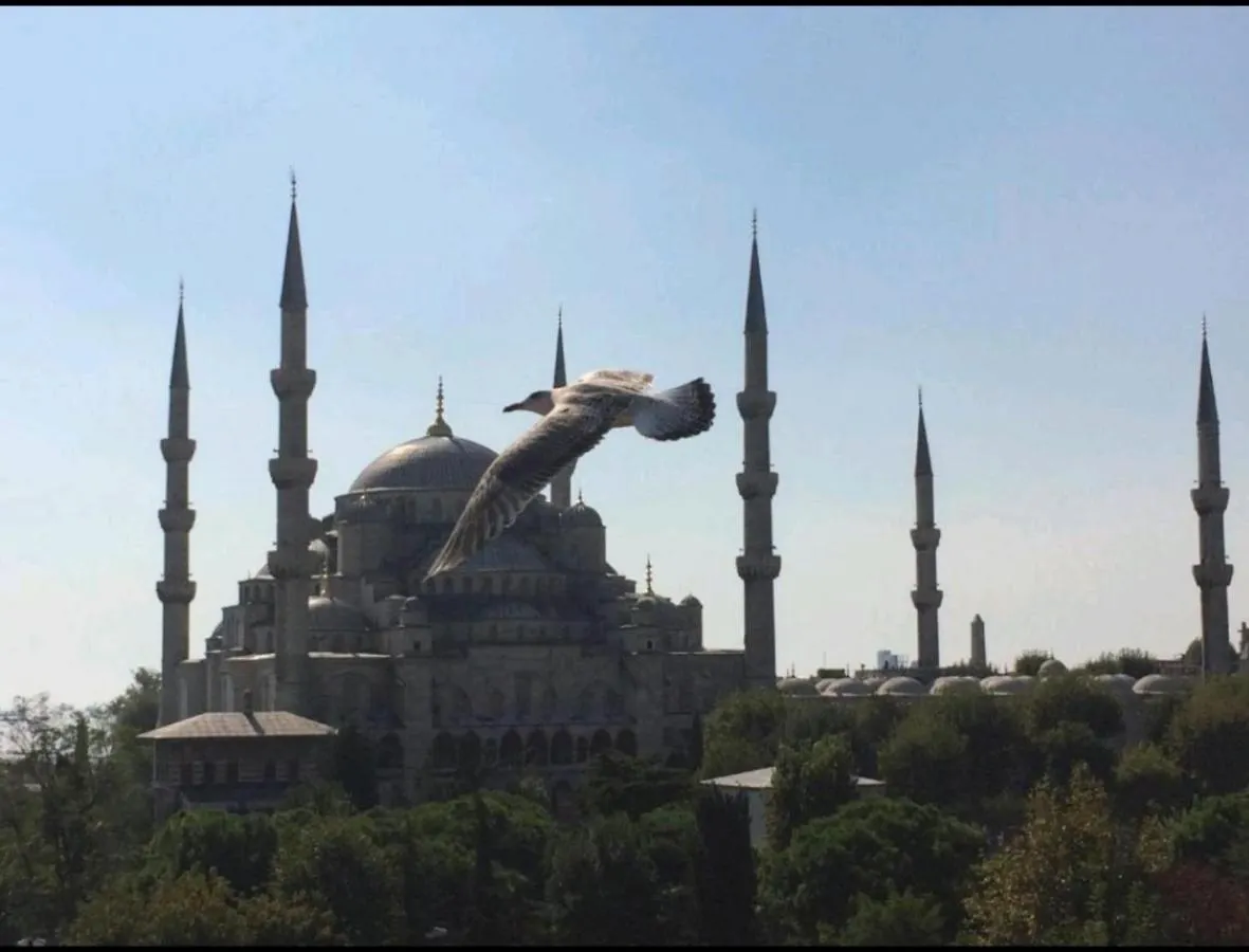 Lebon Hotel-Special Class Istambul Hotel